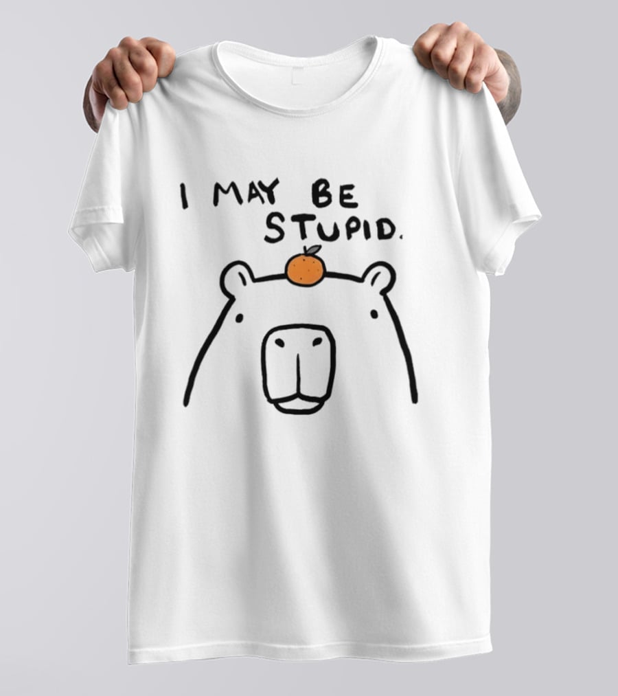 Capybara Orange I May Be Stupid T-Shirt