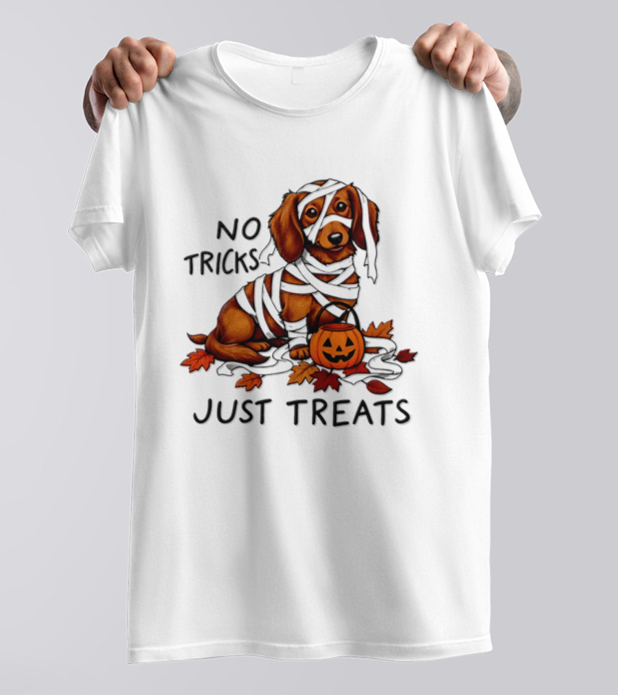 No Tricks Just Treats Dachshund Mummy Halloween Pumpkin Dog T-Shirt