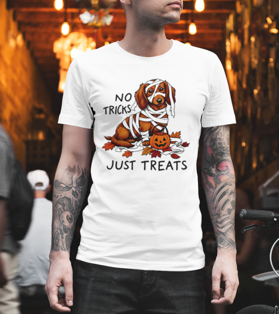 No Tricks Just Treats Dachshund Mummy Halloween Pumpkin Dog T-Shirt