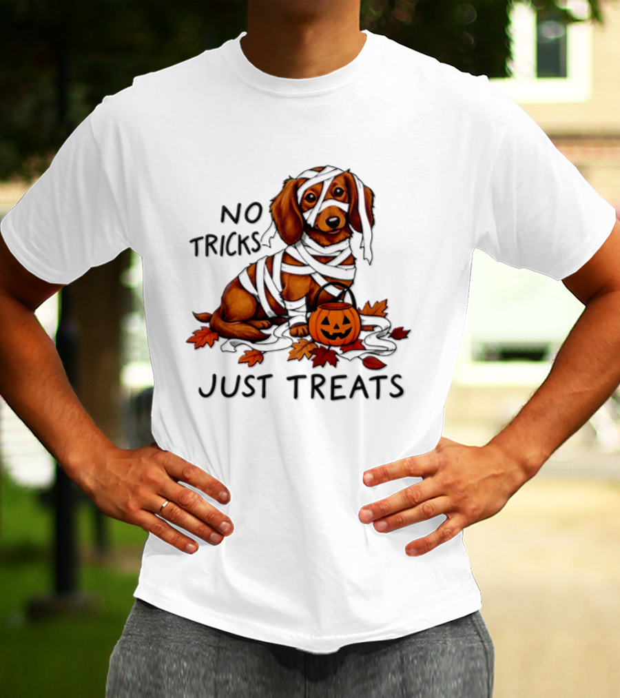 No Tricks Just Treats Dachshund Mummy Halloween Pumpkin Dog T-Shirt