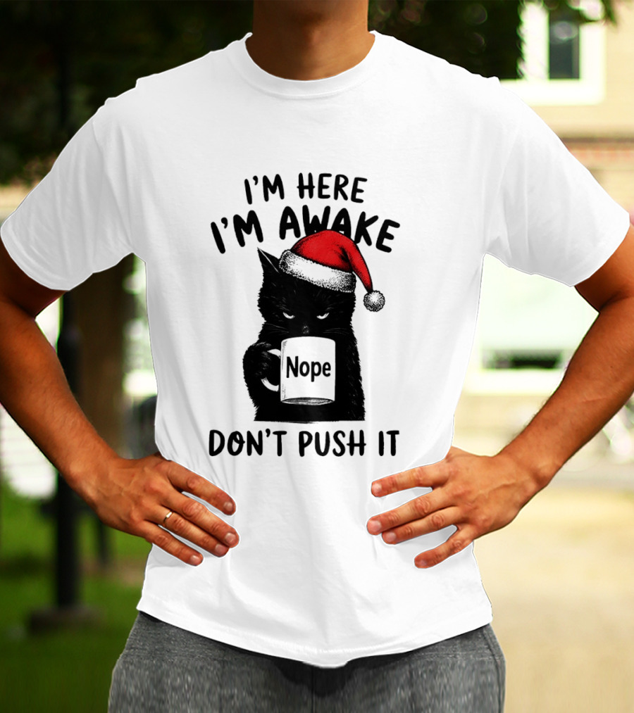 Black Cat Santa I'm Here I'm Awake Nope Don't Push It Holiday T-Shirt