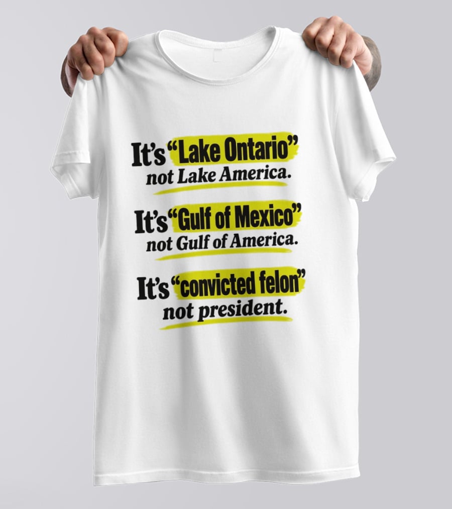 It's Lake Ontario Not Lake America Gulf Of Mexico Not Gulf Of America Convicted Felon Not President T-Shirt