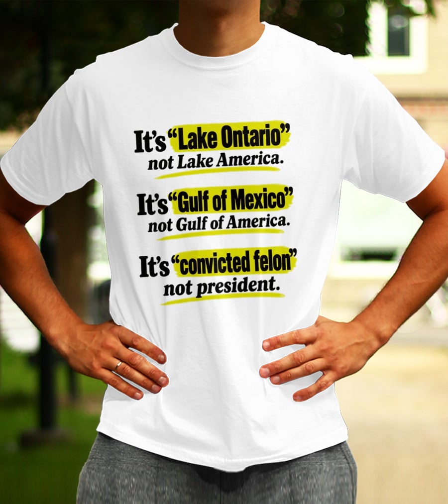 It's Lake Ontario Not Lake America Gulf Of Mexico Not Gulf Of America Convicted Felon Not President T-Shirt