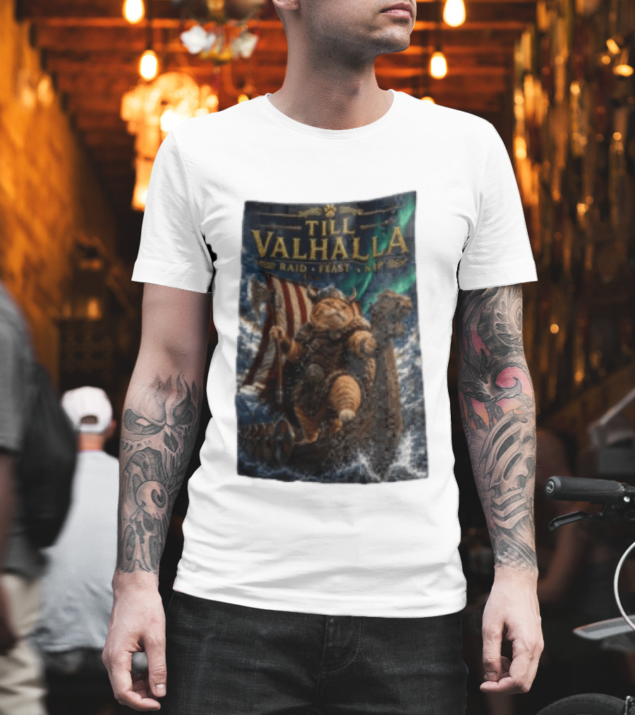 Till Valhalla Raid Feast Nap Viking Cat On Longship With Northern Lights T-Shirt