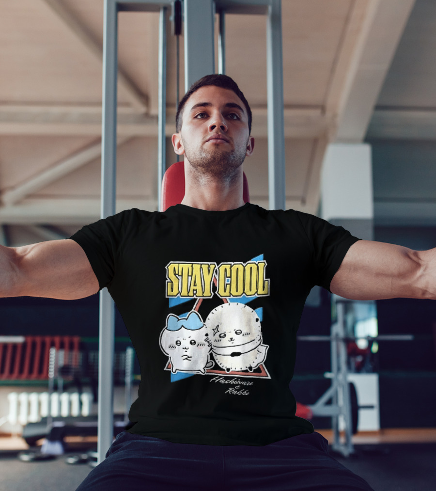 Stay Cool Hachiware And Rakko Distressed Cartoon Anime Characters T-Shirt