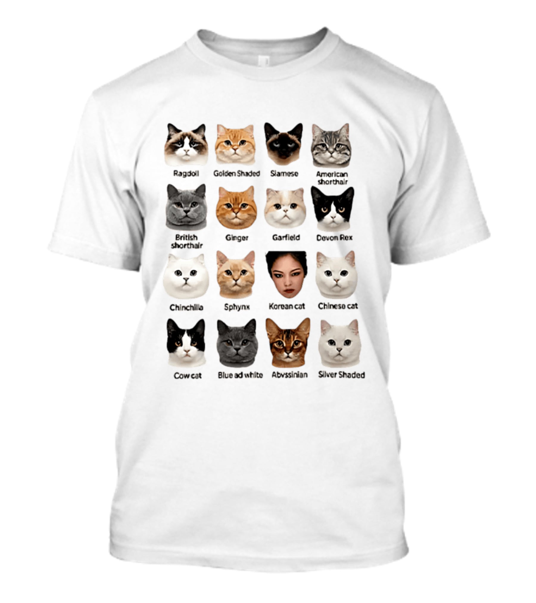 Kpop Cat Breed Chart Korean Cat Jennie Blackpink Meme T-Shirt
