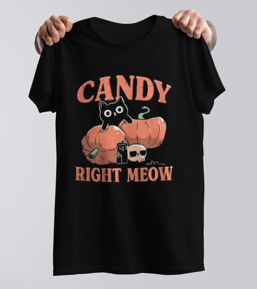 Candy Right Meow Black Cat Pumpkins Candles Skull Halloween T-Shirt