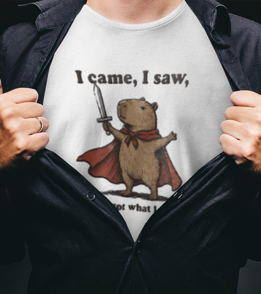 I Came I Saw Capybara Wearing Red Cape Holding Sword Forgot What I Was Doing T-Shirt