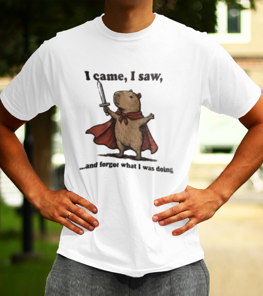 I Came I Saw Capybara Wearing Red Cape Holding Sword Forgot What I Was Doing T-Shirt