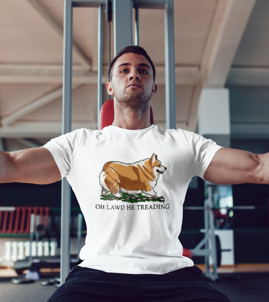 Oh Lawd He Treading Corgi On Snake Cartoon T-Shirt