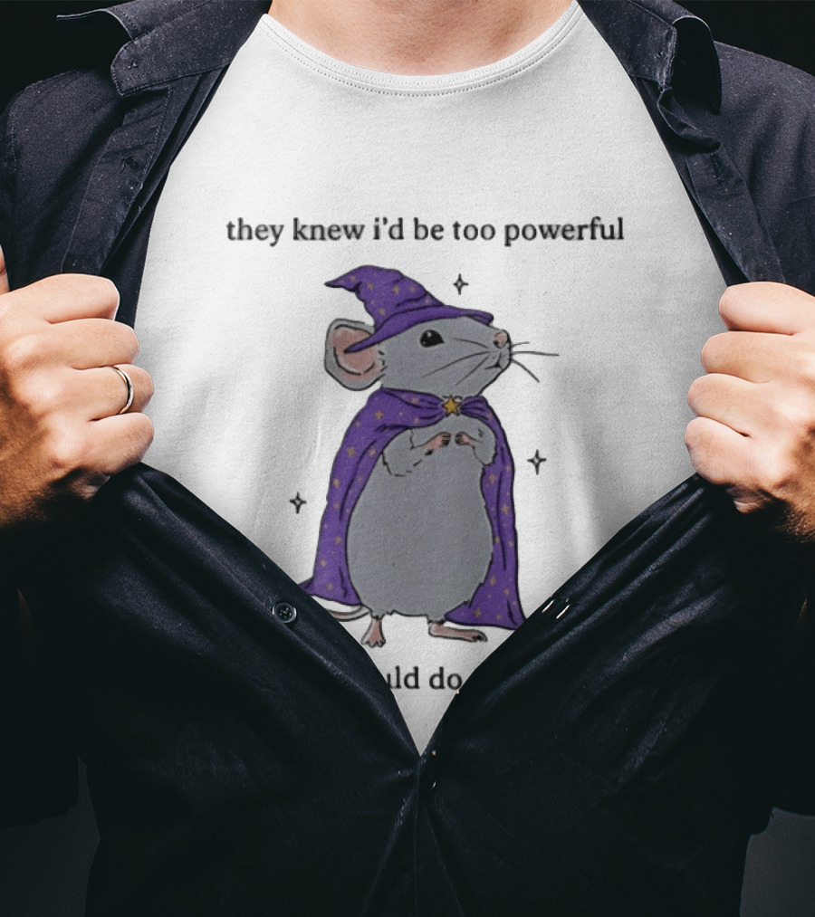 They Knew I'd Be Too Powerful If I Could Do Math Wizard Mouse In Purple Cloak And Hat T-Shirt