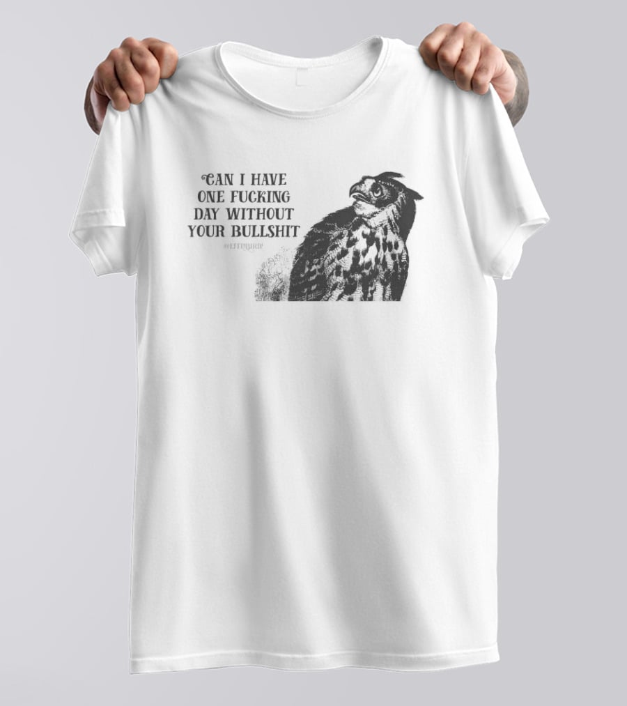Can I Have One Fucking Day Without Your Bullshit Effinbirds T-Shirt
