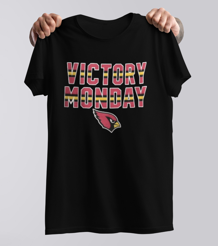Victory Monday Arizona Cardinals Bird Head Striped T-Shirt