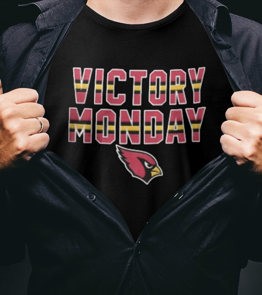 Victory Monday Arizona Cardinals Bird Head Striped T-Shirt