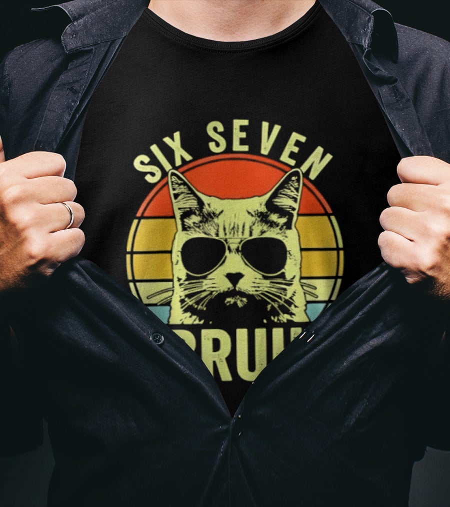 Six Seven Bruh Retro Cat Sunset T-Shirt