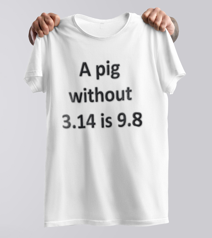 A Pig Without 3.14 Is 9.8 Black Minimalist Clever Play On Words T-Shirt