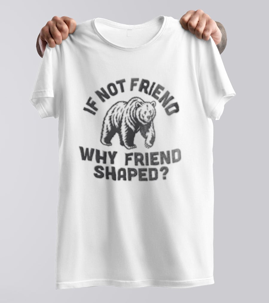 If Not Friend Why Friend Shaped Bear T-Shirt