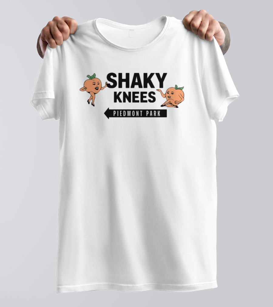 Shaky Knees Festival Piedmont Park Peaches Crop Raglan Women's Lineup T-Shirt