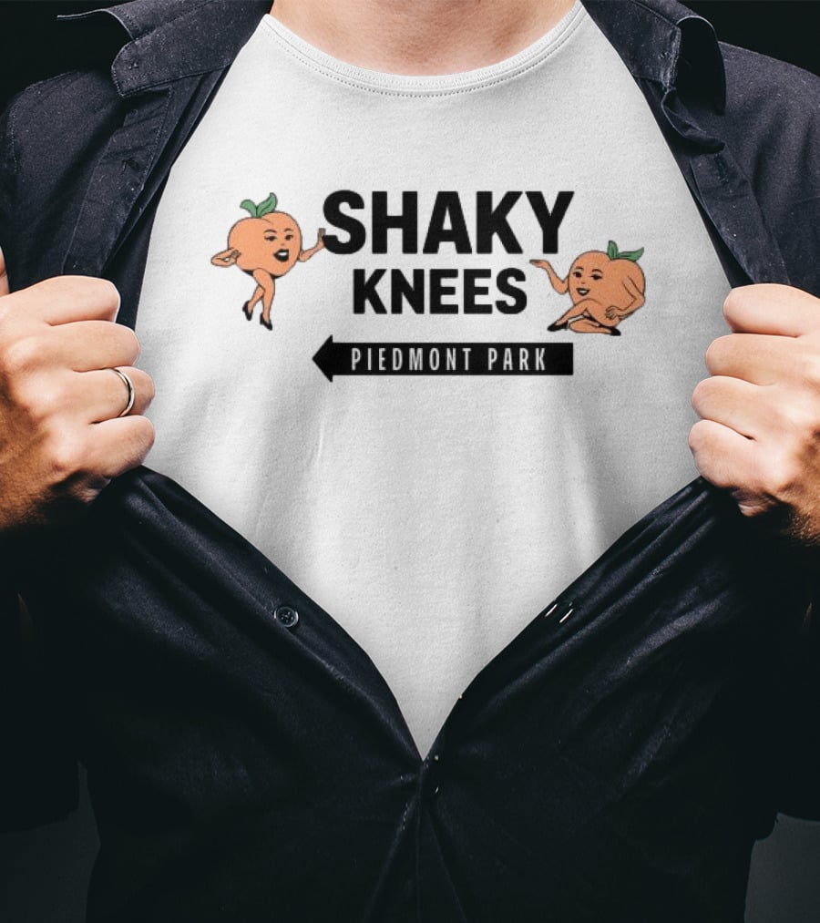 Shaky Knees Festival Piedmont Park Peaches Crop Raglan Women's Lineup T-Shirt