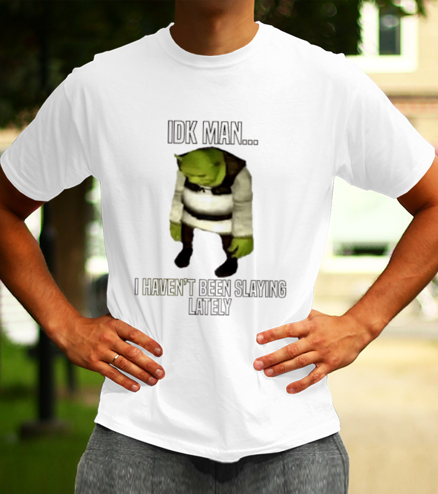 IDK Man Shrek I Haven't Been Slaying Lately Meme Text Image Iconic Movie T-Shirt