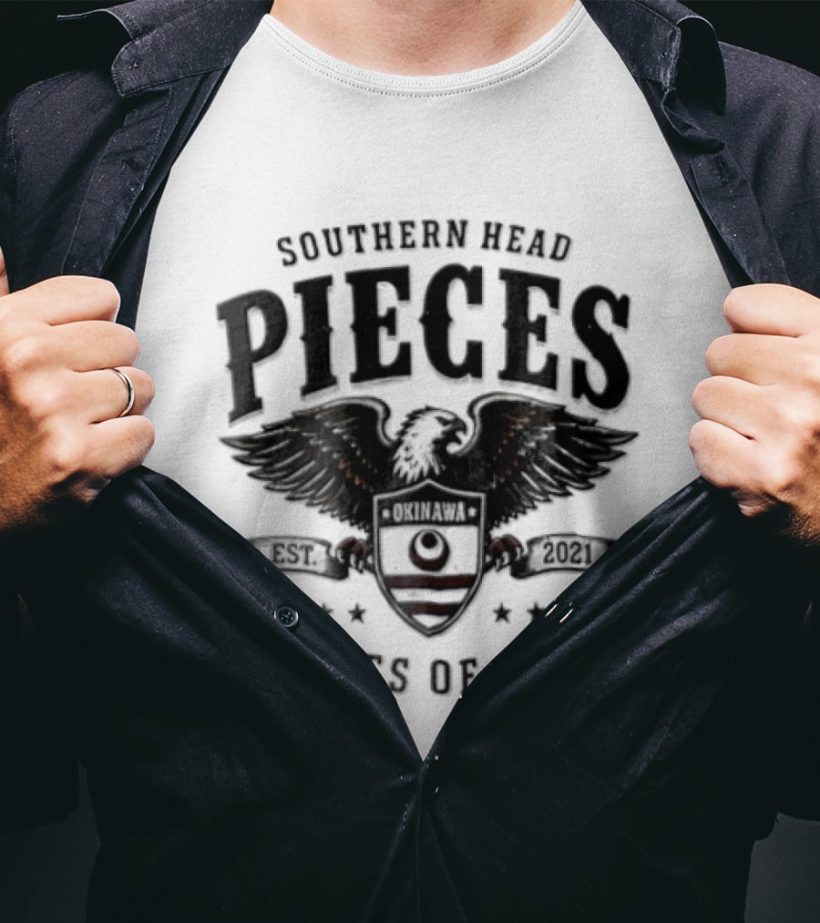 Southern Head Pieces Bald Eagle Spreading Wings Shield Pieces Of Cake 2021 T-Shirt