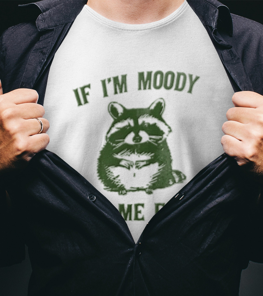 If I'm Moody Give Me Foody Cat Humor T-Shirt