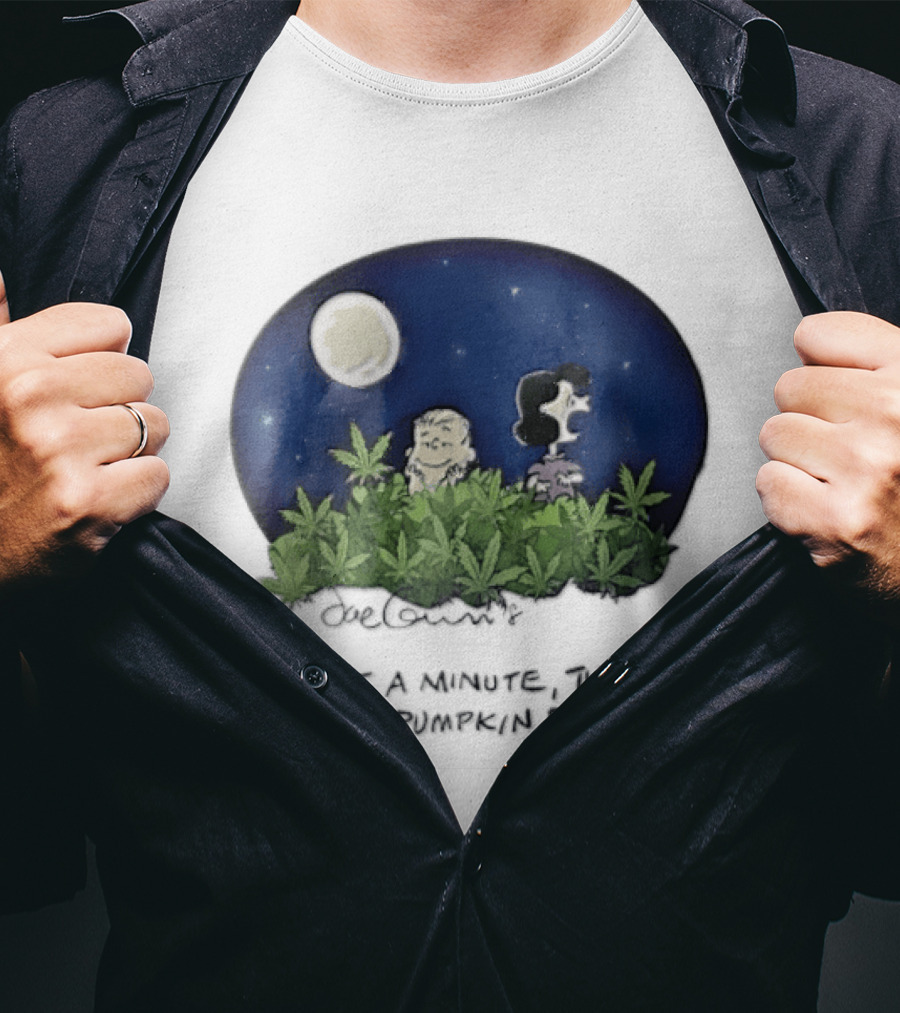 Peanuts Wait A Minute This Isn't A Pumpkin Patch Moon Night Scene Charlie Brown Lucy T-Shirt