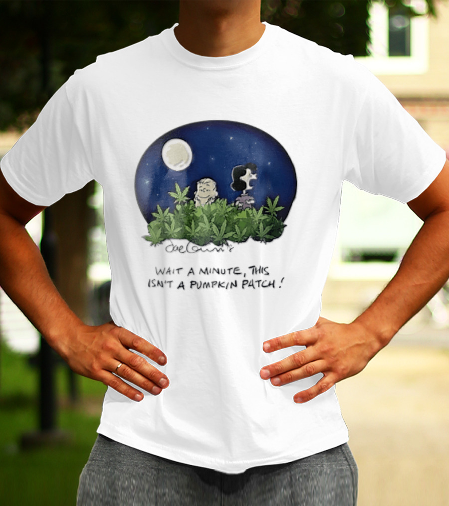 Peanuts Wait A Minute This Isn't A Pumpkin Patch Moon Night Scene Charlie Brown Lucy T-Shirt