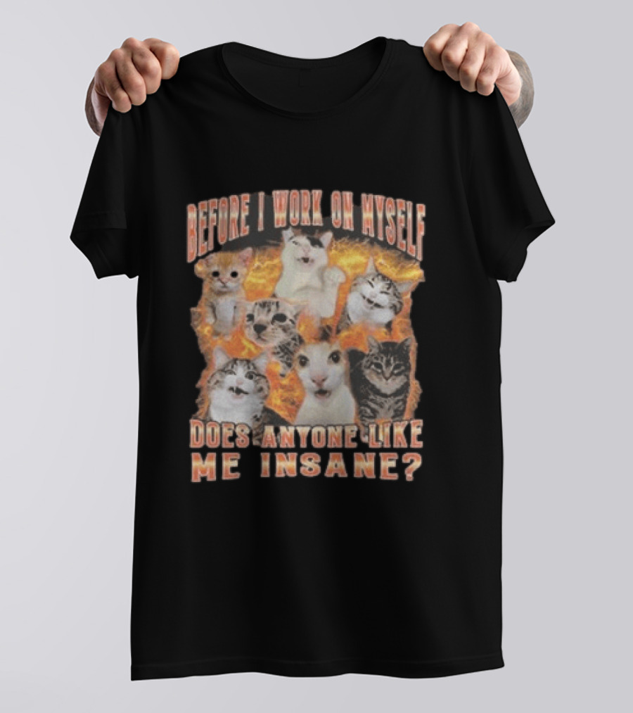 Before I Work On Myself Does Anyone Like Me Insane Cats T-Shirt