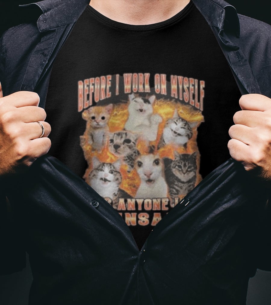 Before I Work On Myself Does Anyone Like Me Insane Cats T-Shirt