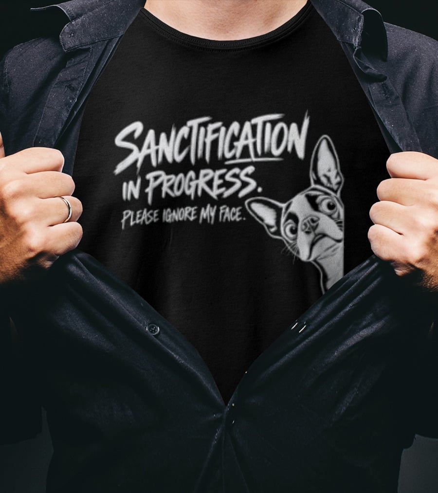 Sanctification In Progress Please Ignore My Face Funny Animal T-Shirt