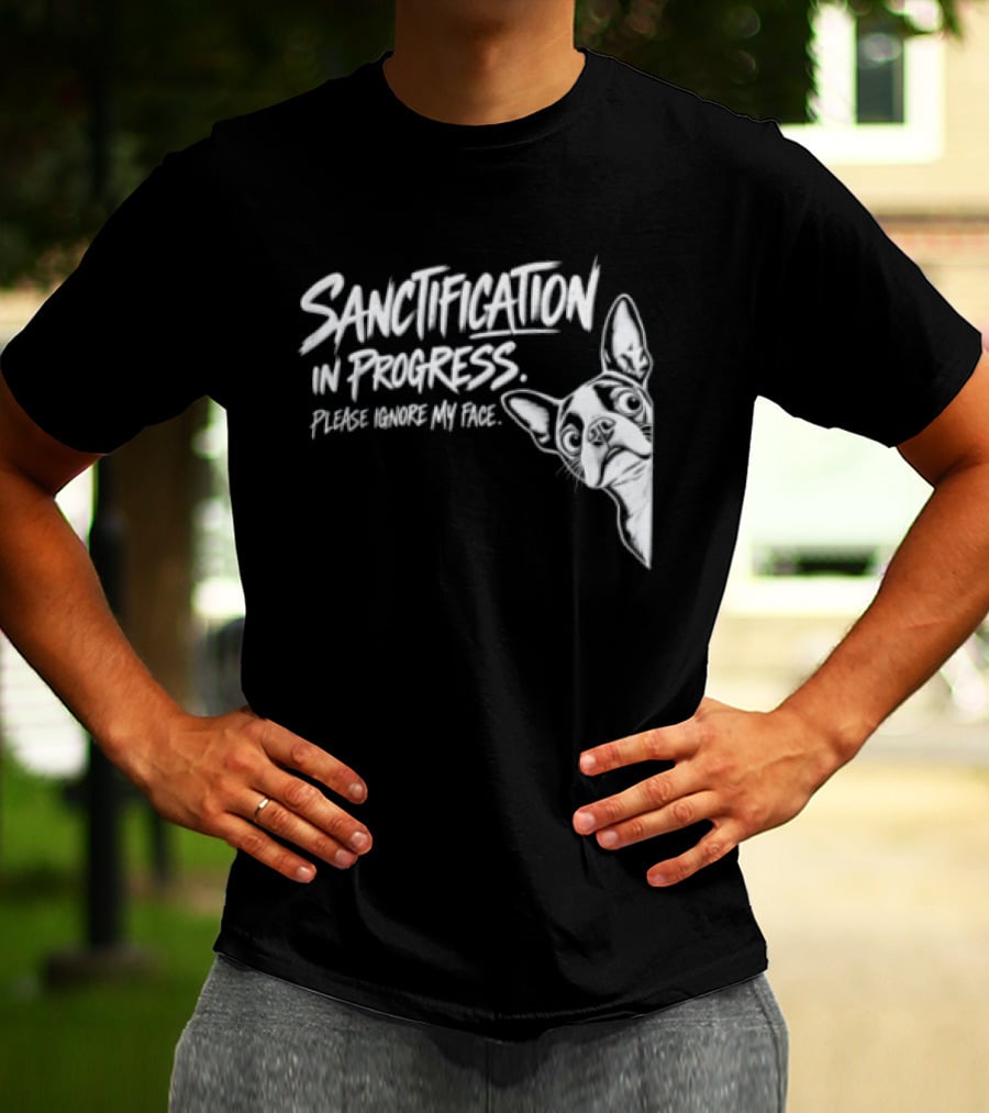 Sanctification In Progress Please Ignore My Face Funny Animal T-Shirt