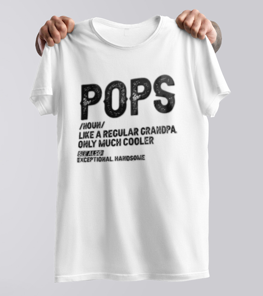 Pops Noun Regular Grandpa Cooler Exceptional Handsome T-Shirt