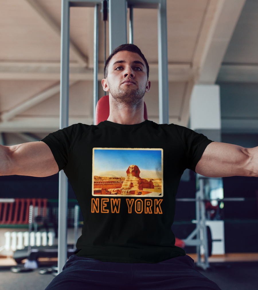 New York Humor Great Sphinx Of Giza Egypt Landmark T-Shirt