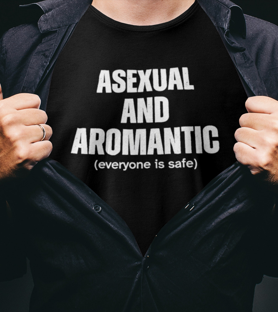 Asexual And Aromantic Everyone Is Safe Inclusive Message T-Shirt