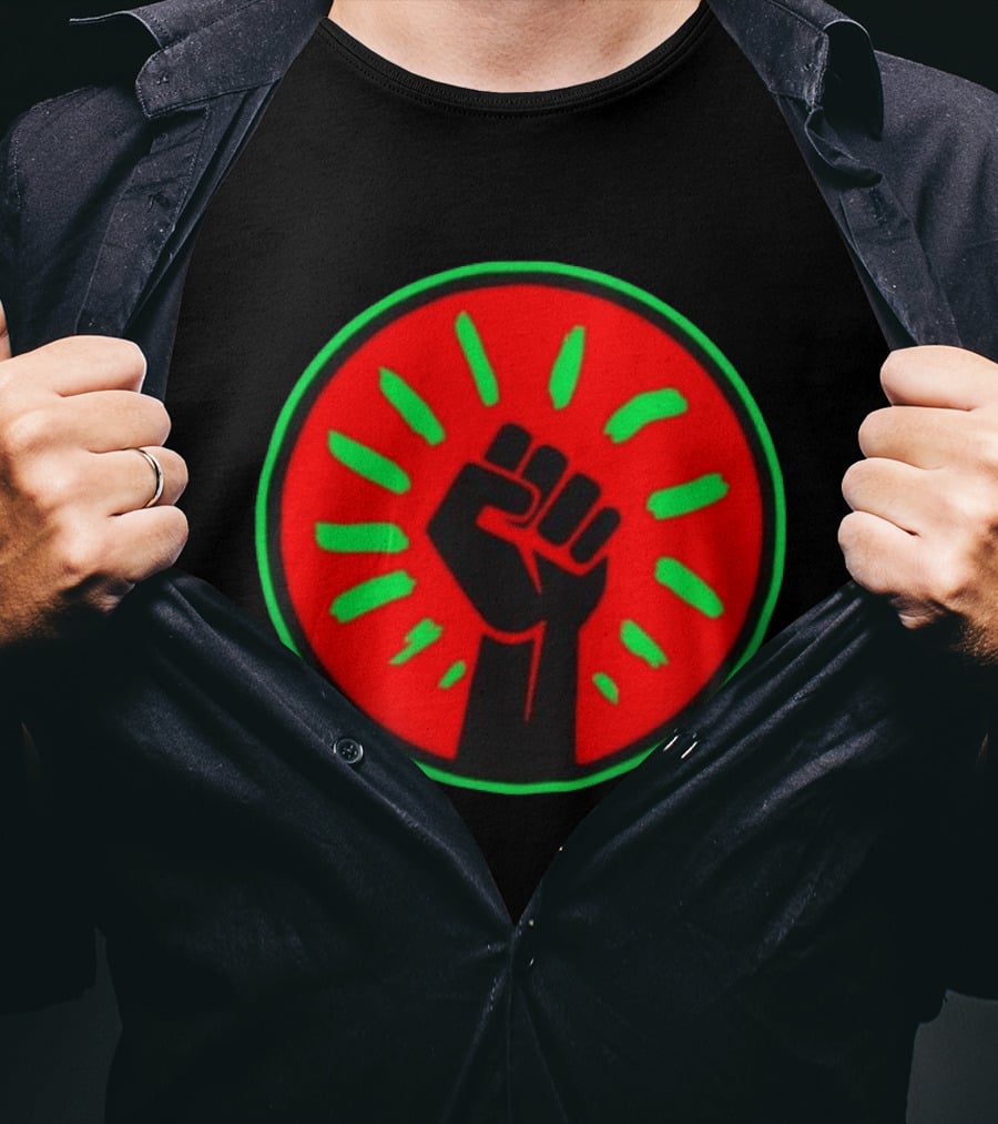 Pan African Flag Black Power Fist Resistance Unity Liberation T-Shirt