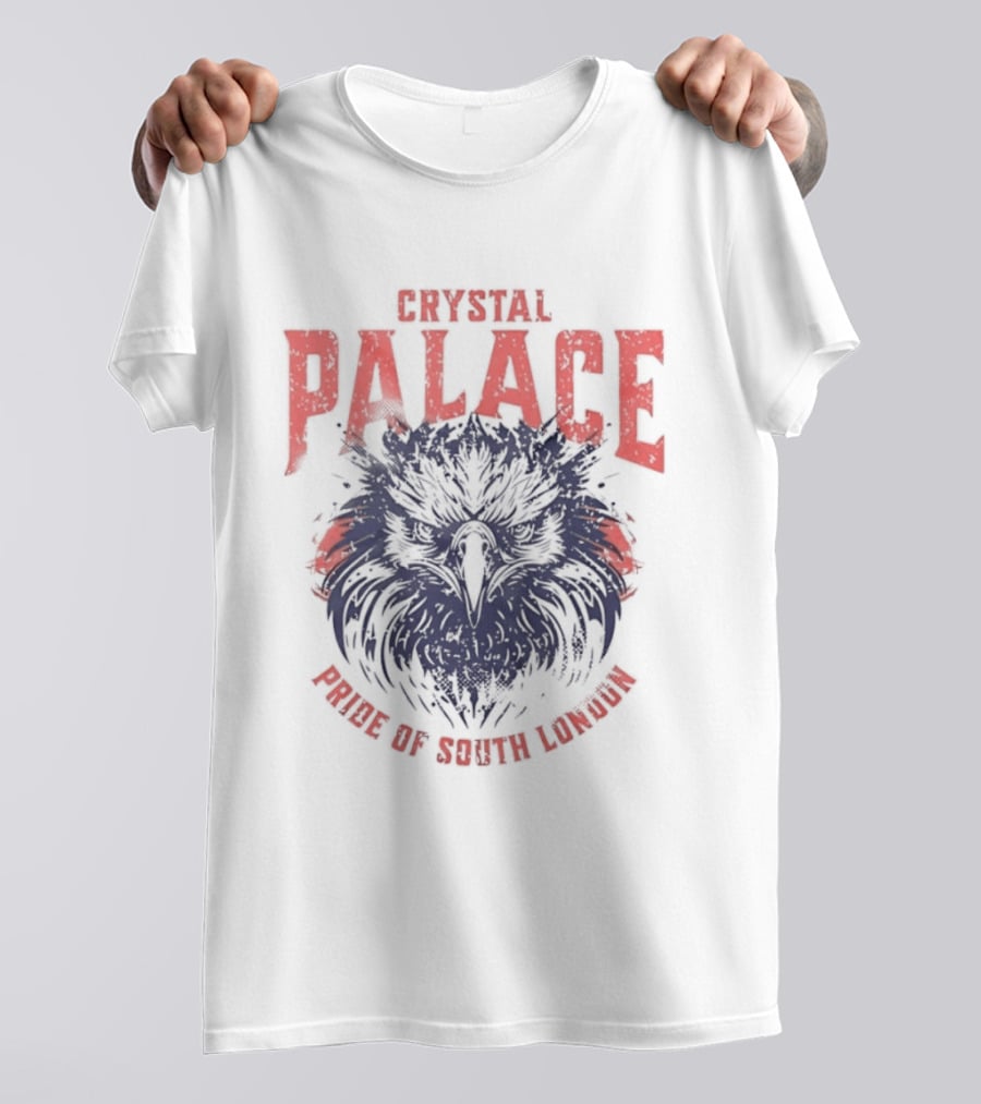 Crystal Palace Power Of South London Pride Eagle T-Shirt