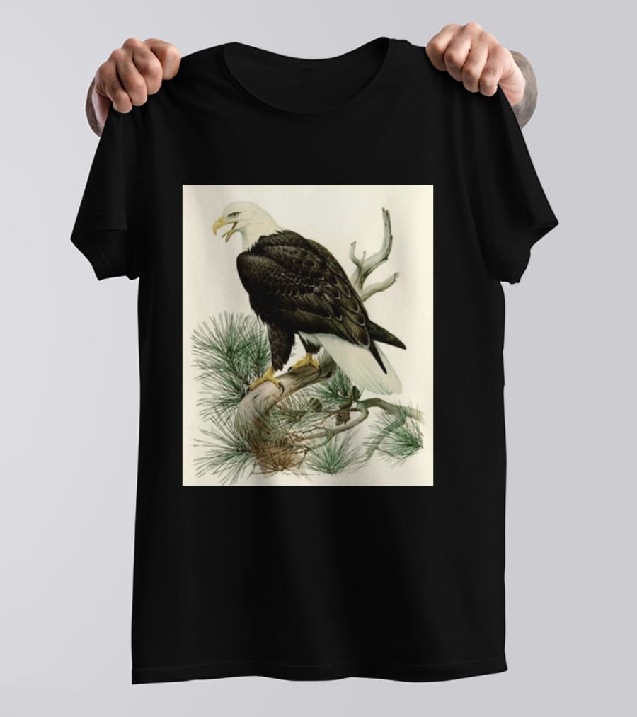 Roger Tory Peterson Bald Eagle Illustration On Stone Background 2026 T-Shirt
