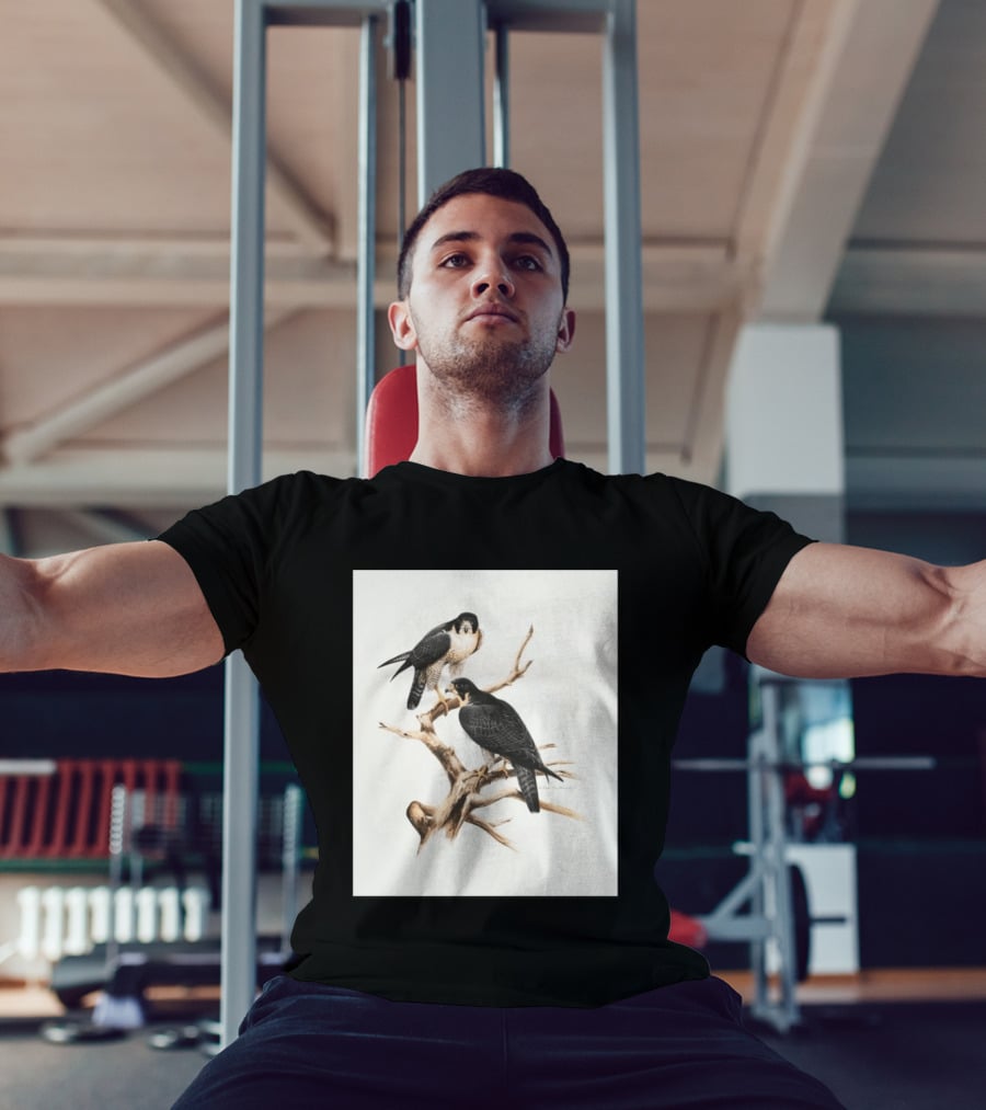 Roger Tory Peterson Peregrines 2026 Adult Ash Bird T-Shirt