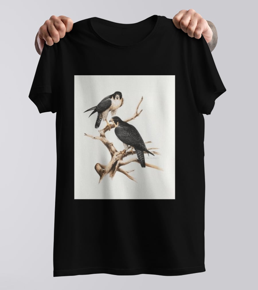 Roger Tory Peterson Peregrines 2026 Adult Ash Bird T-Shirt