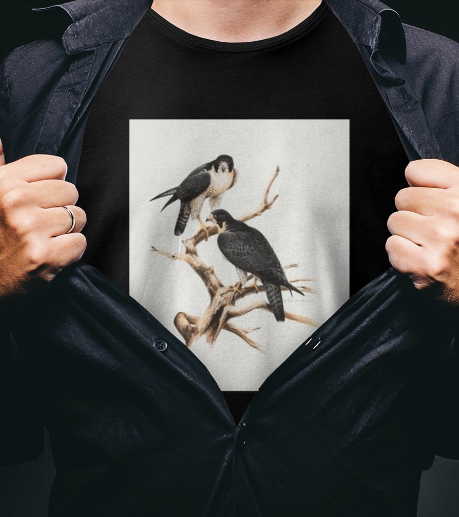 Roger Tory Peterson Peregrines 2026 Adult Ash Bird T-Shirt