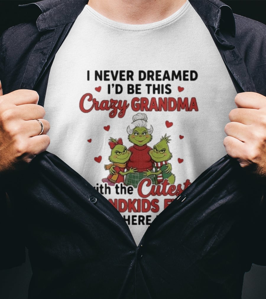 I Never Dreamed I'd Be This Crazy Grandma With The Cutest Grandkids Ever But Here I Am T-Shirt