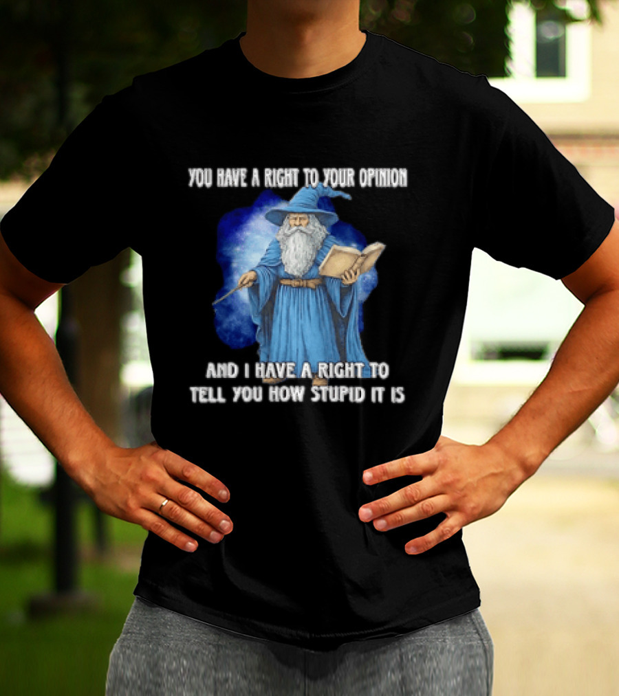 Wizard You Have A Right To Your Opinion And I Have A Right To Tell You How Stupid It Is T-Shirt
