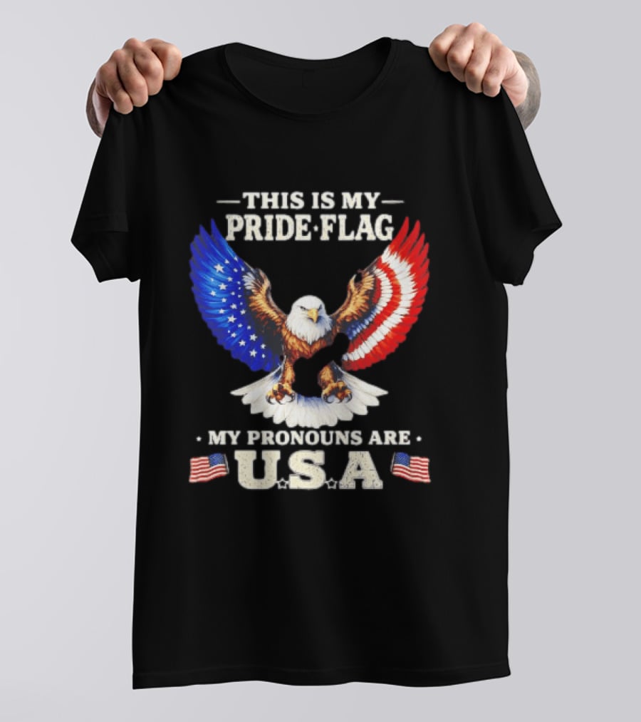 This Is My Pride Flag American Eagle My Pronouns Are USA T-Shirt