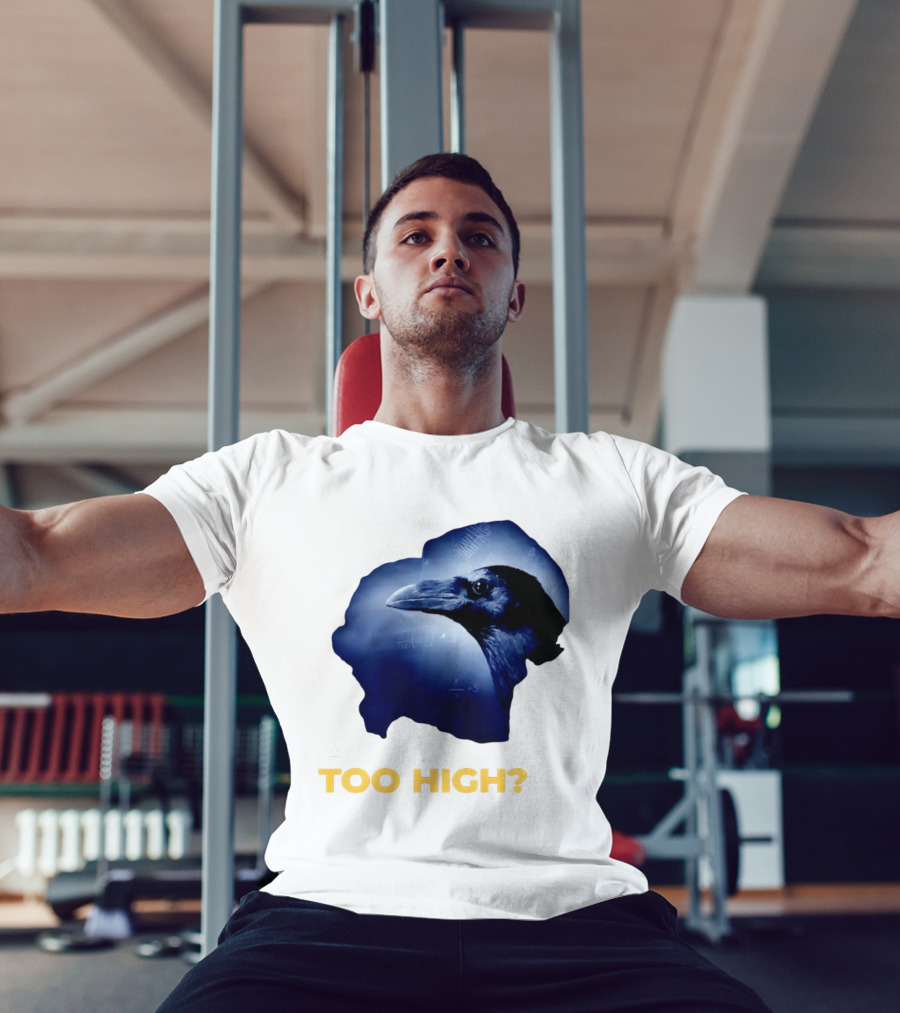 An IQ Too High Raven Sarcasm Meme T-Shirt