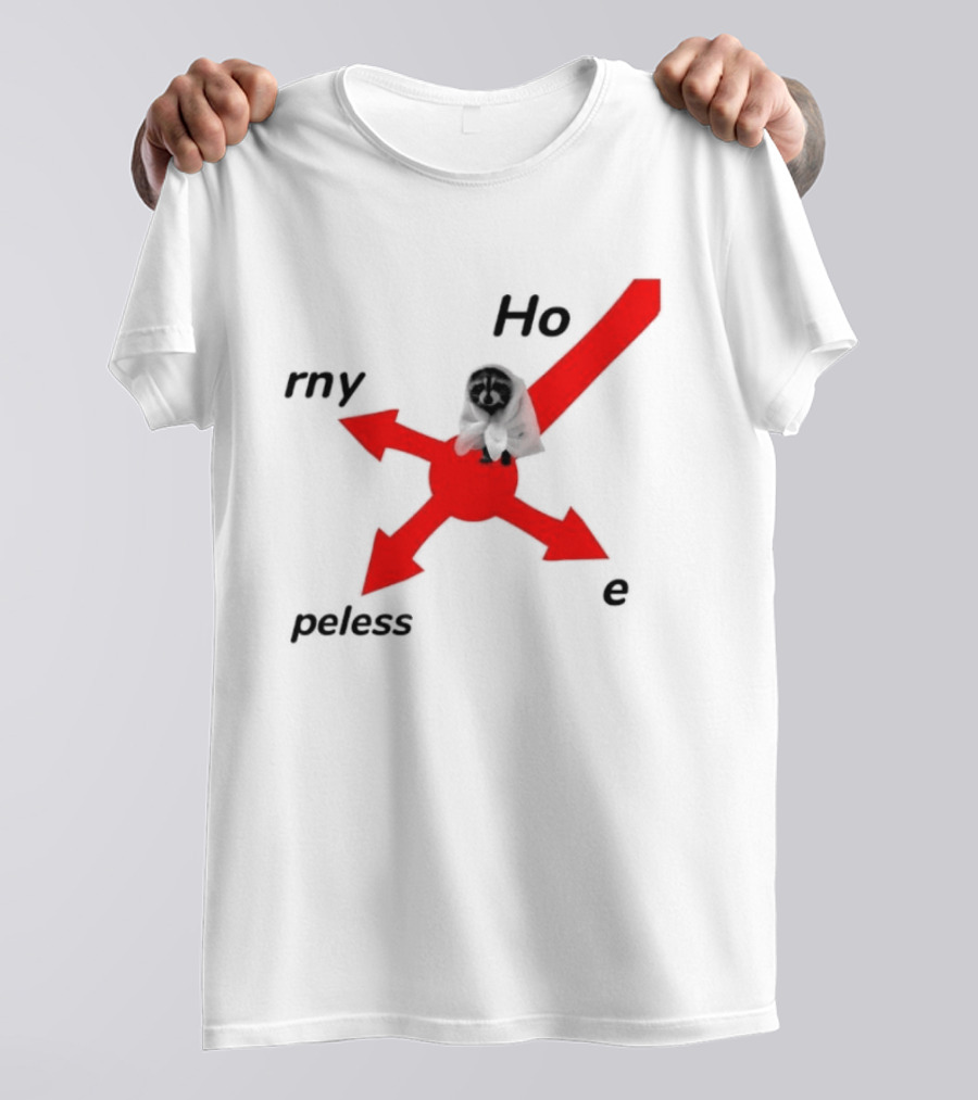 Raccoon Meme Ho Rny Peless Compass T-Shirt