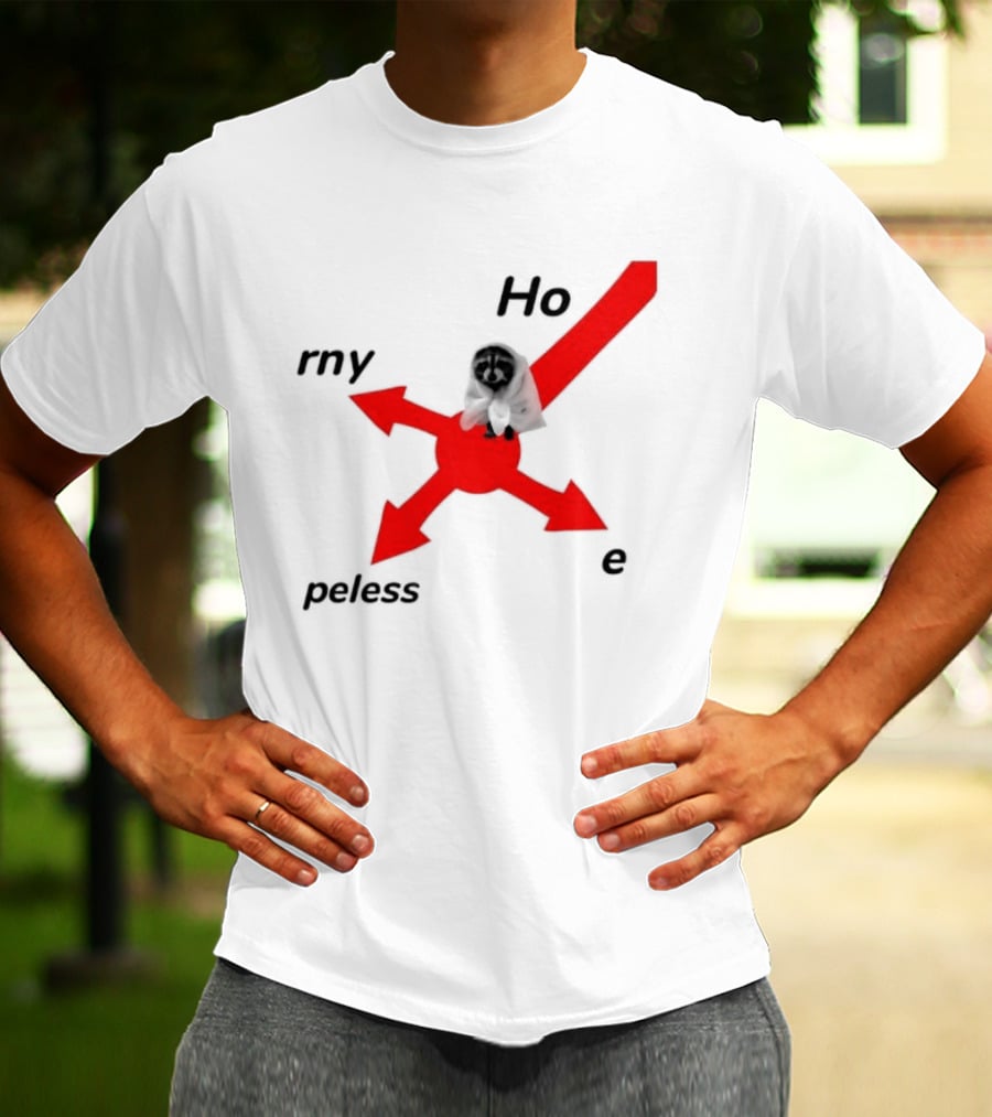 Raccoon Meme Ho Rny Peless Compass T-Shirt
