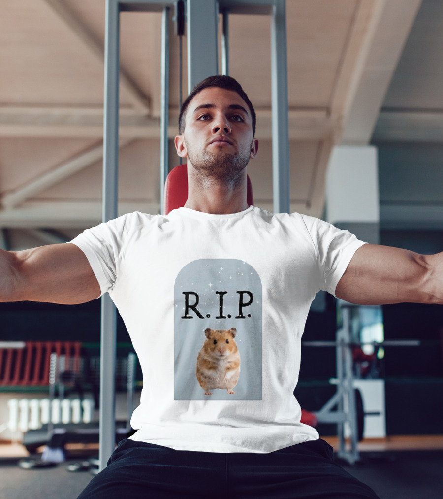 R.I.P. Lil Cenat Hamster Memorial With Stars And Clouds T-Shirt