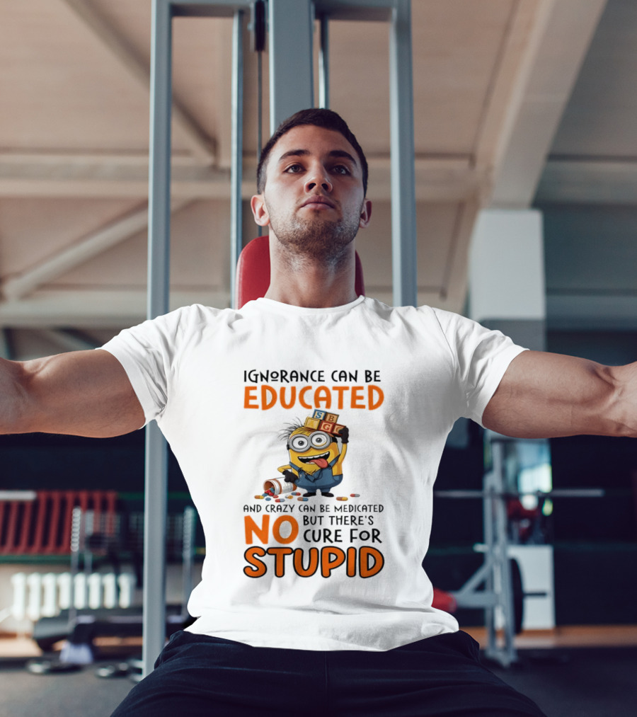 Minion Despicable Me Ignorance Can Be Educated Crazy Medicated No Cure Stupid T-Shirt