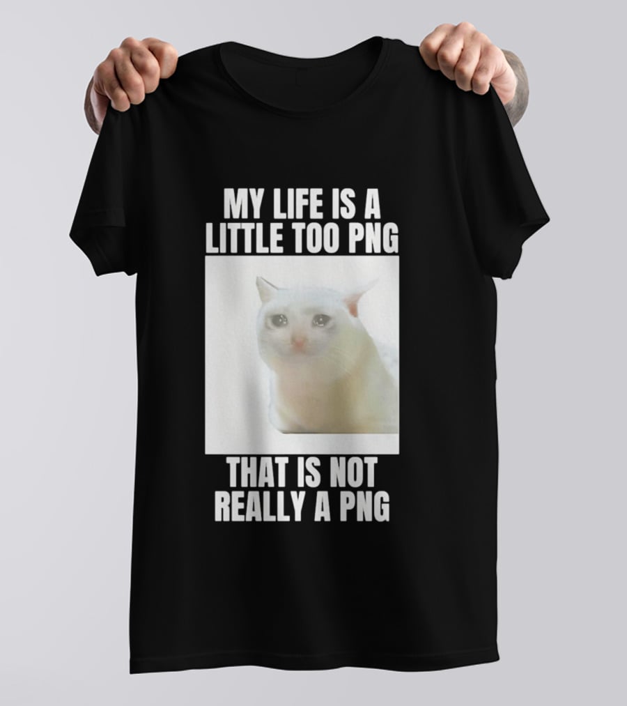 My Life Is A Little Too PNG That Is Not Really A PNG Cat Meme T-Shirt